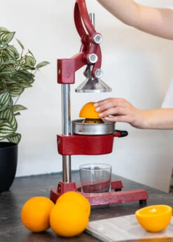 Sareva Citruspers - Gietijzer - Hevelmodel - Rood -Aanbiedingen Keuken Kla Winkel Citruspers 5 1