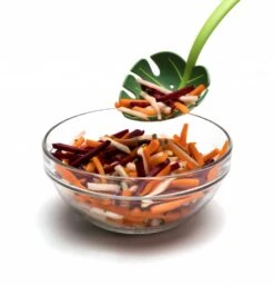 Ototo Opscheplepel Jungle Spoon -Aanbiedingen Keuken Kla Winkel Ototo Opscheplepel Jungle Spoon 3